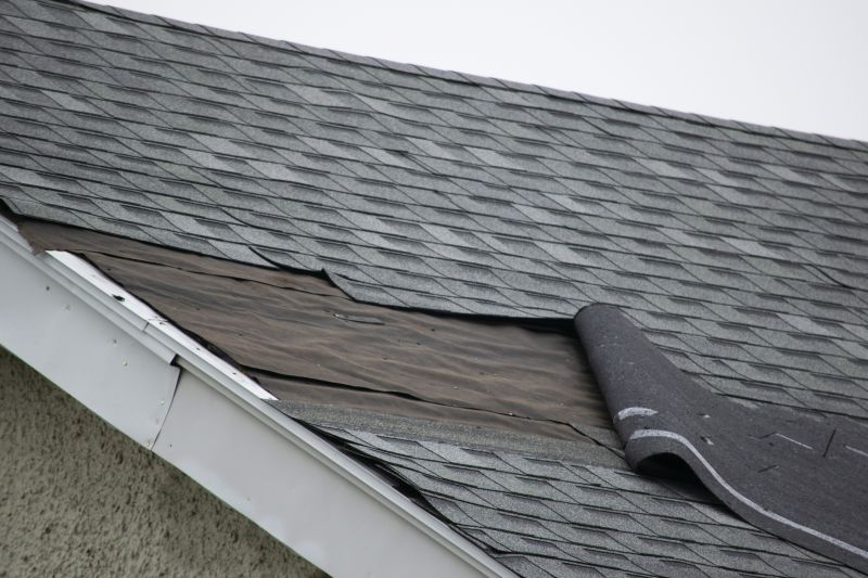 Repair Process on Asphalt Shingles